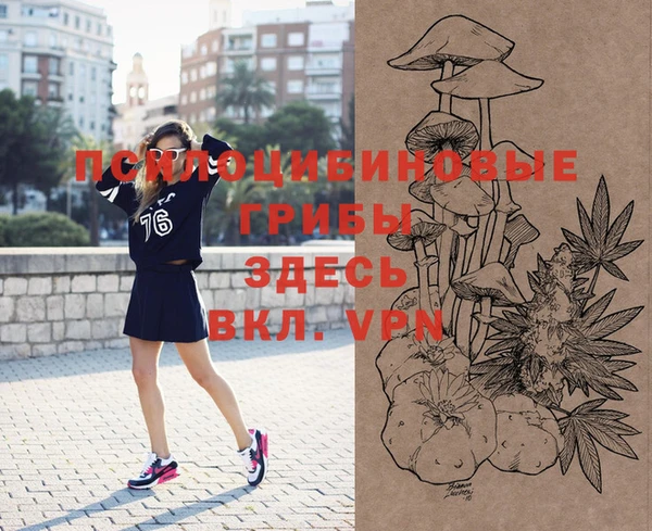 ешки Лабытнанги