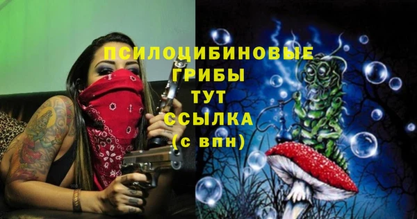 первитин Лиски