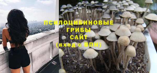первитин Лиски