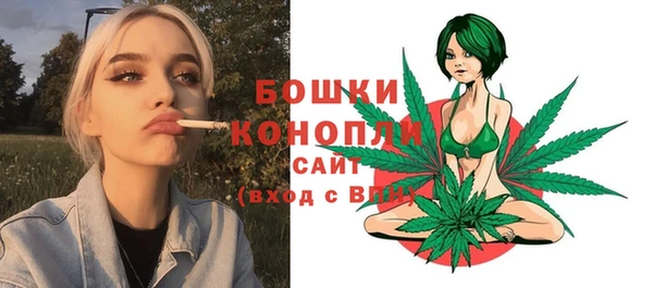 дживик Липки