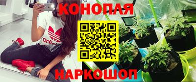 a pvp Беслан