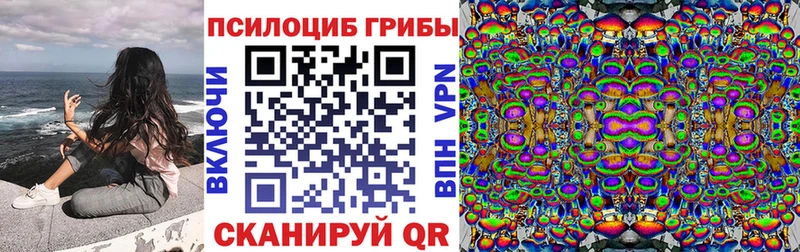 Псилоцибиновые грибы Psilocybe  Богданович 