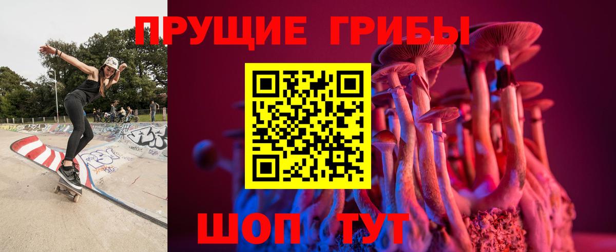Псилоцибиновые грибы GOLDEN TEACHER Богданович