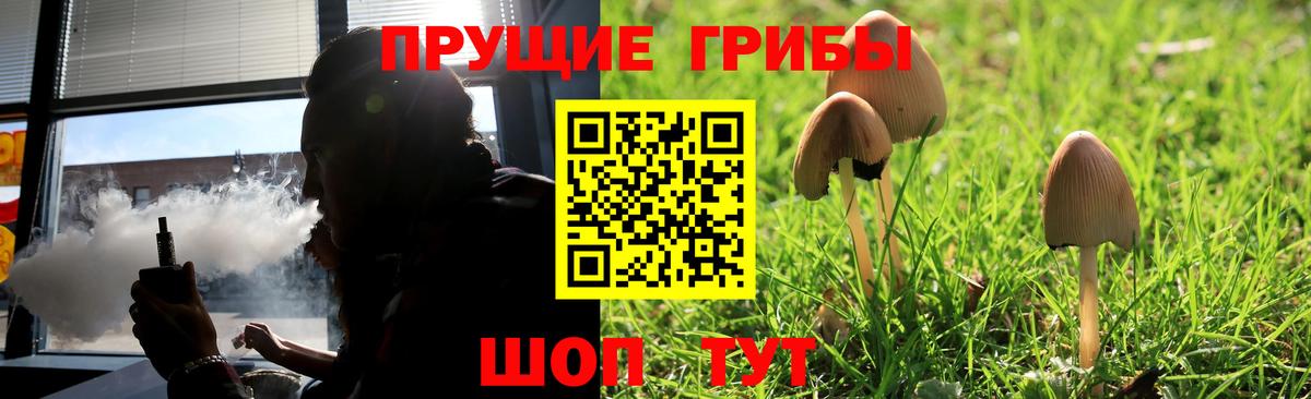 Псилоцибиновые грибы прущие грибы  Вход с VPN  Псилоцибиновые грибы Psilocybine cubensis  Богданович 