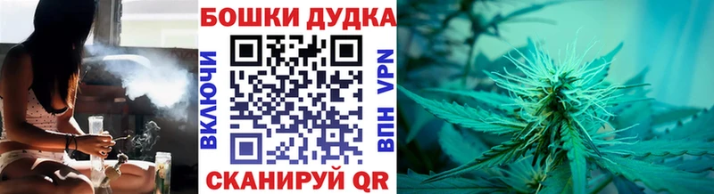 Каннабис SATIVA & INDICA  закладка  Богданович 